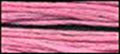 Classic Colorworks - Pink Posey