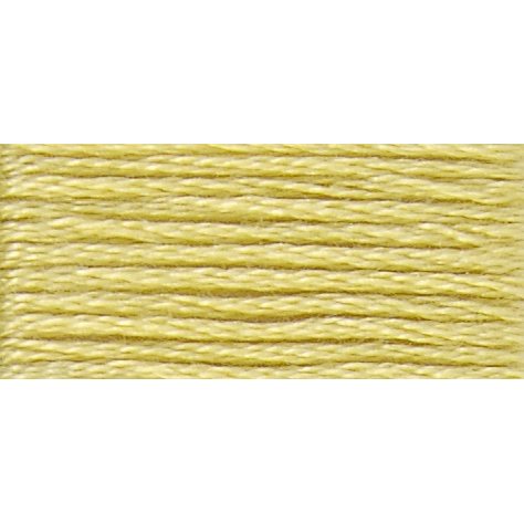 DMC - Stranded cotton - 17