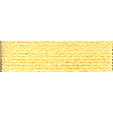 DMC - Stranded cotton - 3823