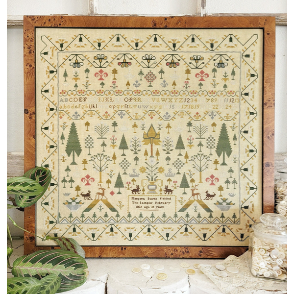 Hello from Liz Mathews - Forest Sampler