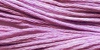 Nina's Threads - Allium