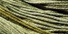 Nina's Threads - Green Mold